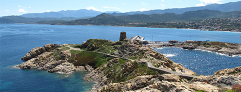 Plongée-Corse-Ile Rousse